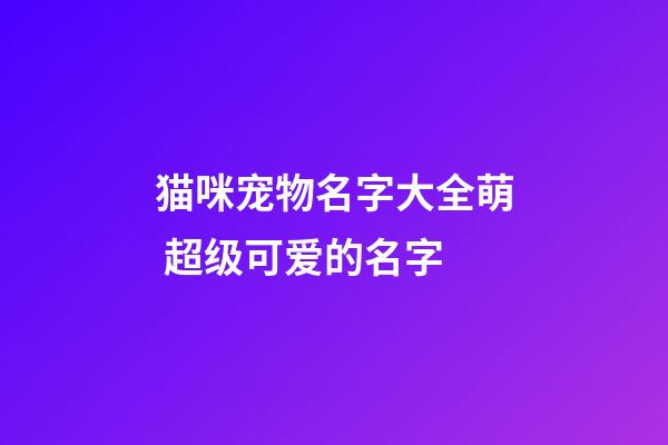 猫咪宠物名字大全萌 超级可爱的名字